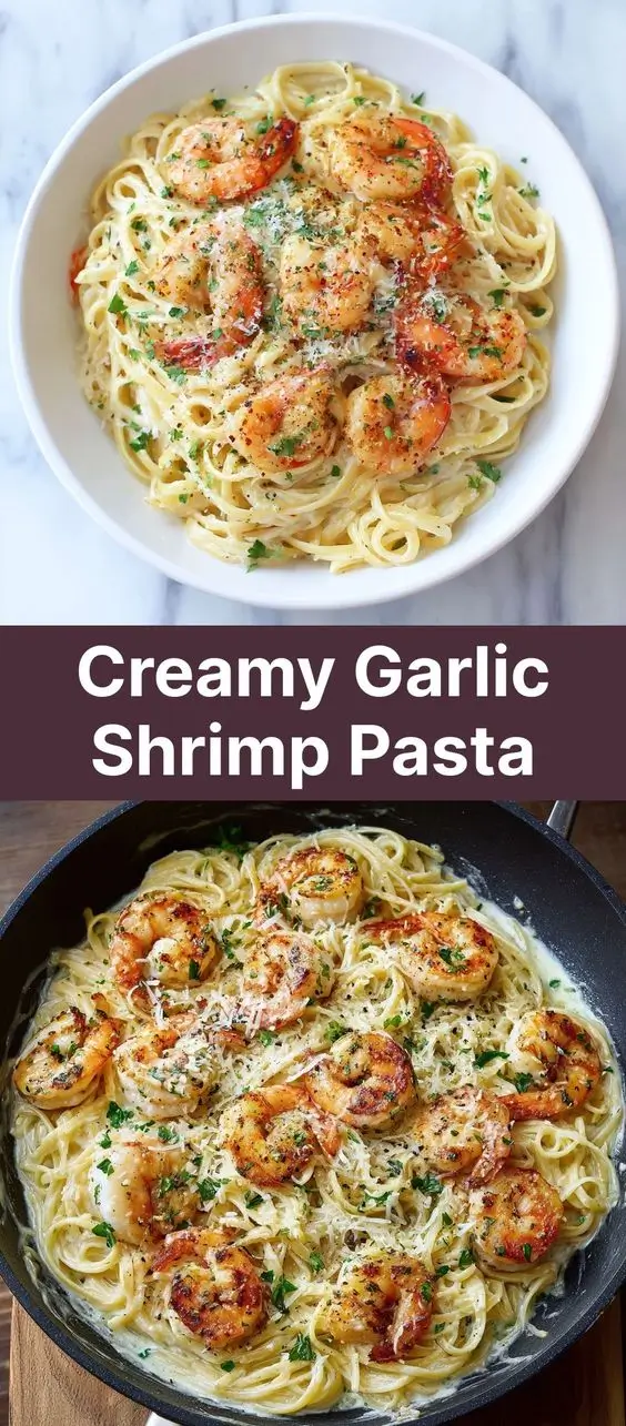 Creamy Garlic Shrimp Pasta