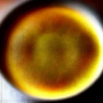 Garlic Butter Chicken with Creamy Herb Sauce